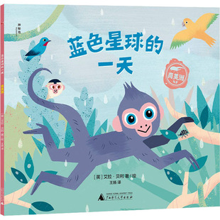 南美洲 王扬 译 (英)艾拉·贝利 绘 绘本/图画书/少儿动漫书少儿 新华书店正版图书籍 广西师范大学出版社