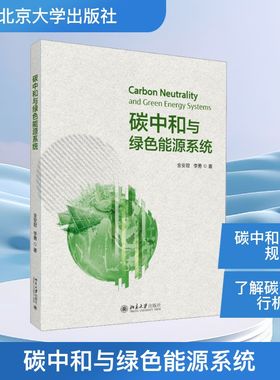 碳中和与绿色能源系统 环境科学能源经济相关领域的学者和决策人员参考用书 新华书店正版图书籍 北京大学出版社