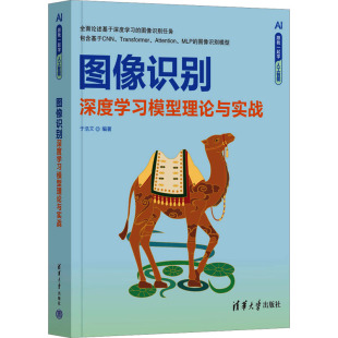 新华书店正版 社 编 计算机控制仿真与人工智能专业科技 于浩文 图书籍 图像识别 清华大学出版 深度学习模型理论与实战