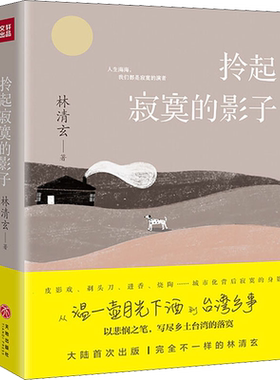 拎起寂寞的影子 林清玄 著 中国近代随笔文学 新华书店正版图书籍 天地出版社
