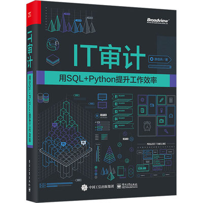 IT审计 用SQL+Python提升工作效率 涂佳兵 著 数据库专业科技 新华书店正版图书籍 电子工业出版社