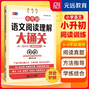 小升初语文阅读理解大通关 上海元远教育 编 小学教辅文教 新华书店正版图书籍 同济大学出版社
