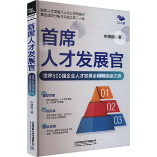首席人才发展官 世界500强企业人才发展全周期操盘之道 申晓刚 著 人力资源经管、励志 新华书店正版图书籍