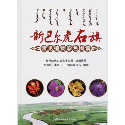 新巴尔虎右旗常见植物彩色图谱 胡高娃,李海山,巴德玛噶日布 编著 航空航天专业科技 新华书店正版图书籍 中国农业科学技术出版社