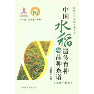 中国水稻遗传育种与品种系谱(1986-2005)  万建民 主编 农业基础科学专业科技 新华书店正版图书籍 中国农业出版社