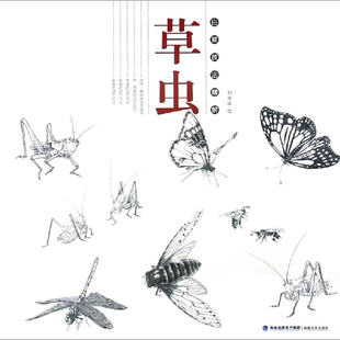 草虫/白描技法精解 绘画:刘金保 著作 绘画（新）艺术 新华书店正版图书籍 福建美术出版社