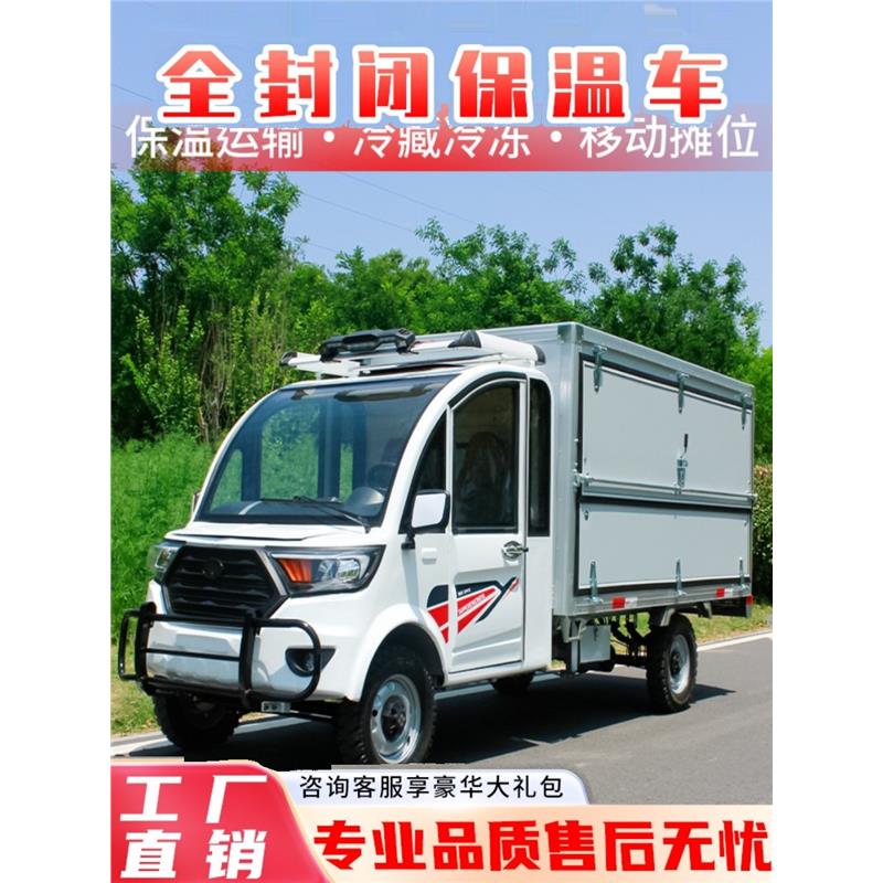 新能源电动厢式货运车四轮快递车油电两用保温车大功率冷藏地摊车