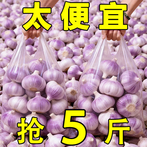 山东金乡紫皮大蒜头干蒜蔬菜蒜香味浓批发新鲜种植优质大果当季