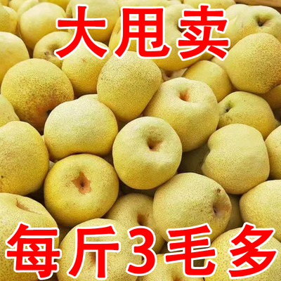 安徽梨子正宗砀山梨酥梨当季水果新鲜现摘皇翠冠整箱青梨香梨雪梨
