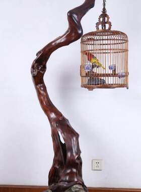 越南黄花梨鸟笼红木雕画眉八哥鹦鹉工艺品摆件送礼佳品