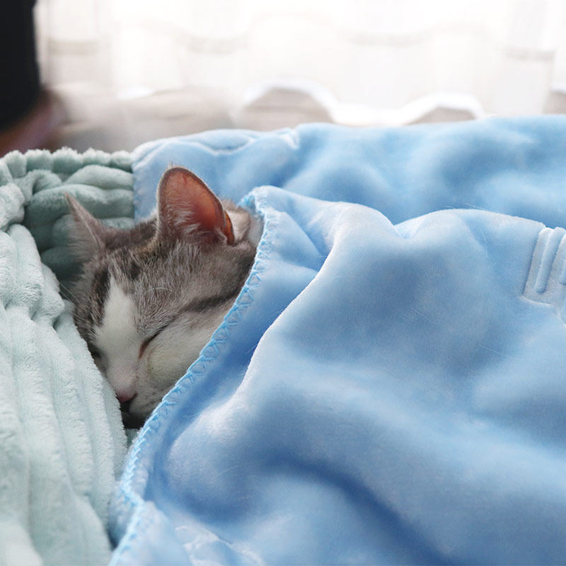 猫咪毛毯狗狗垫子窝垫床垫泰迪窝具春季狗窝毯子春秋睡垫猫咪被子,宠物/宠物食品及用品,猫狗垫子,淘宝优惠券,粉丝福利购,淘宝优惠卷