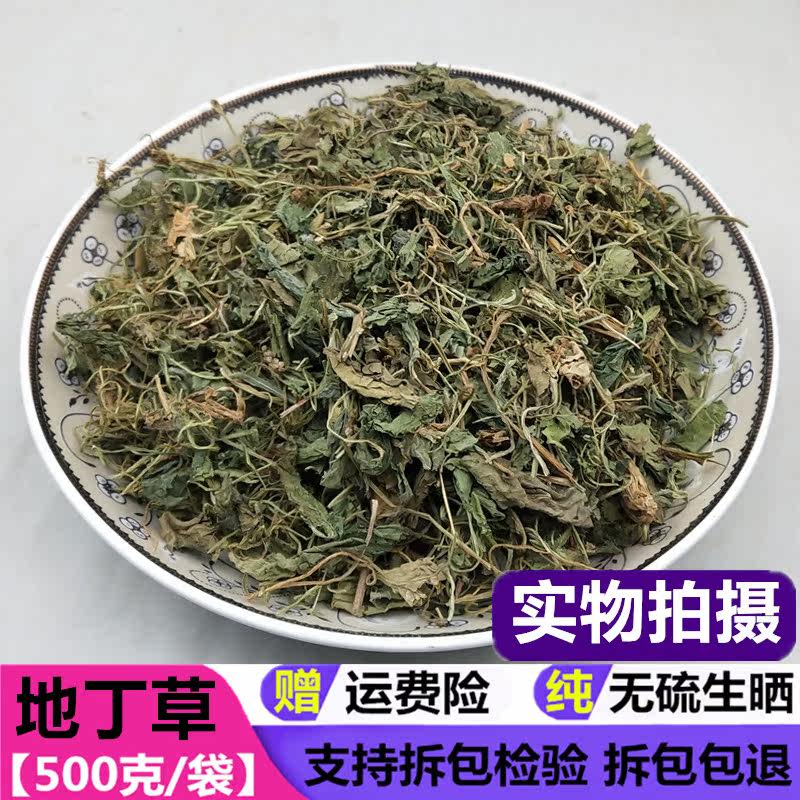 紫地丁花价格 紫地丁花图片 星期三