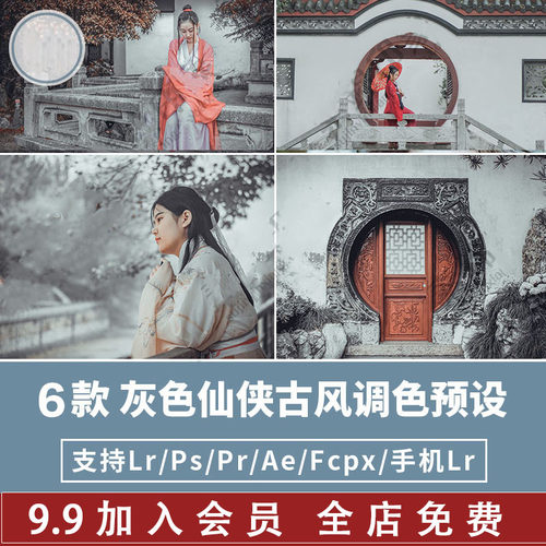 LR预设PS灰色仙侠风古风古装汉服PR达芬奇FCPX手机APP滤镜调色LUT