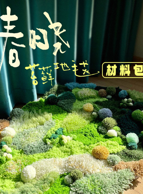 苔藓地毯创意手工diy手工编织