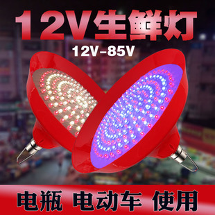 三轮车摆摊专用灯灯带电动三轮车灯泡夜市12地摊灯12v插电伏水果