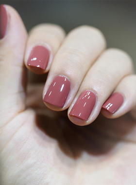 特价 俄罗斯EL corazon指甲油 秋冬热卖温柔显白豆沙色 免烤快干