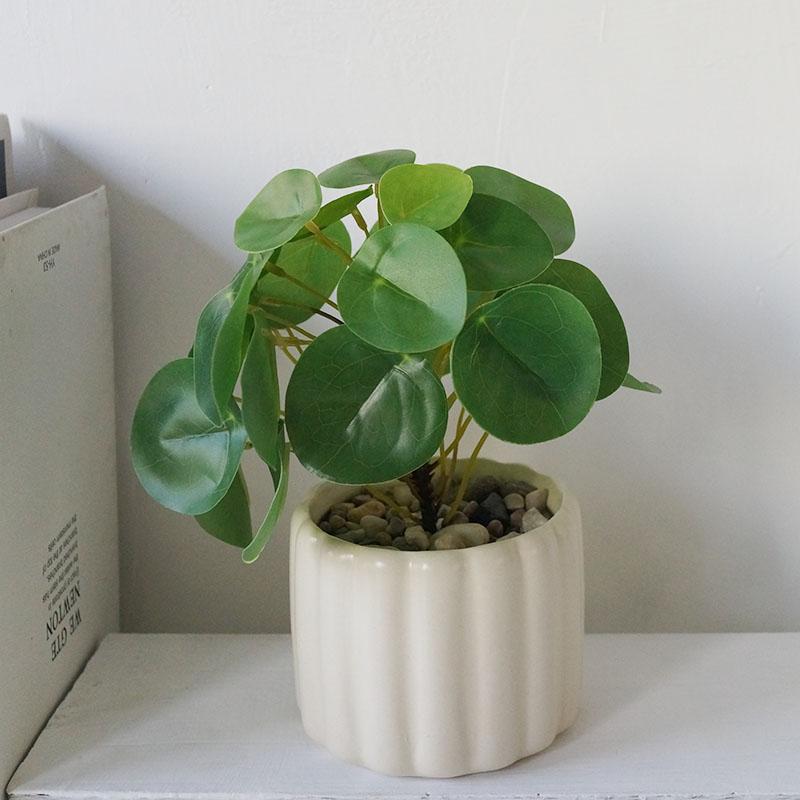 仿真绿植盆栽净清新奶油风植物图片