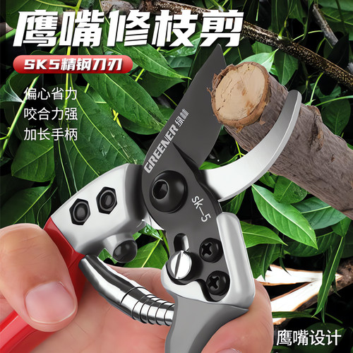 强力果树园艺修枝剪剪树枝专用多功能剪刀花剪花艺枝条剪盆栽修剪