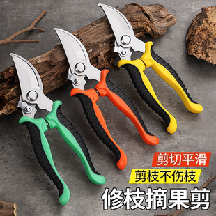 防滑花剪枝园艺剪刀修枝剪省力修剪树枝果树园林花卉专用花艺剪子
