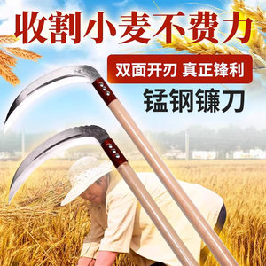 【进口材质】锋利镰刀收割稻谷