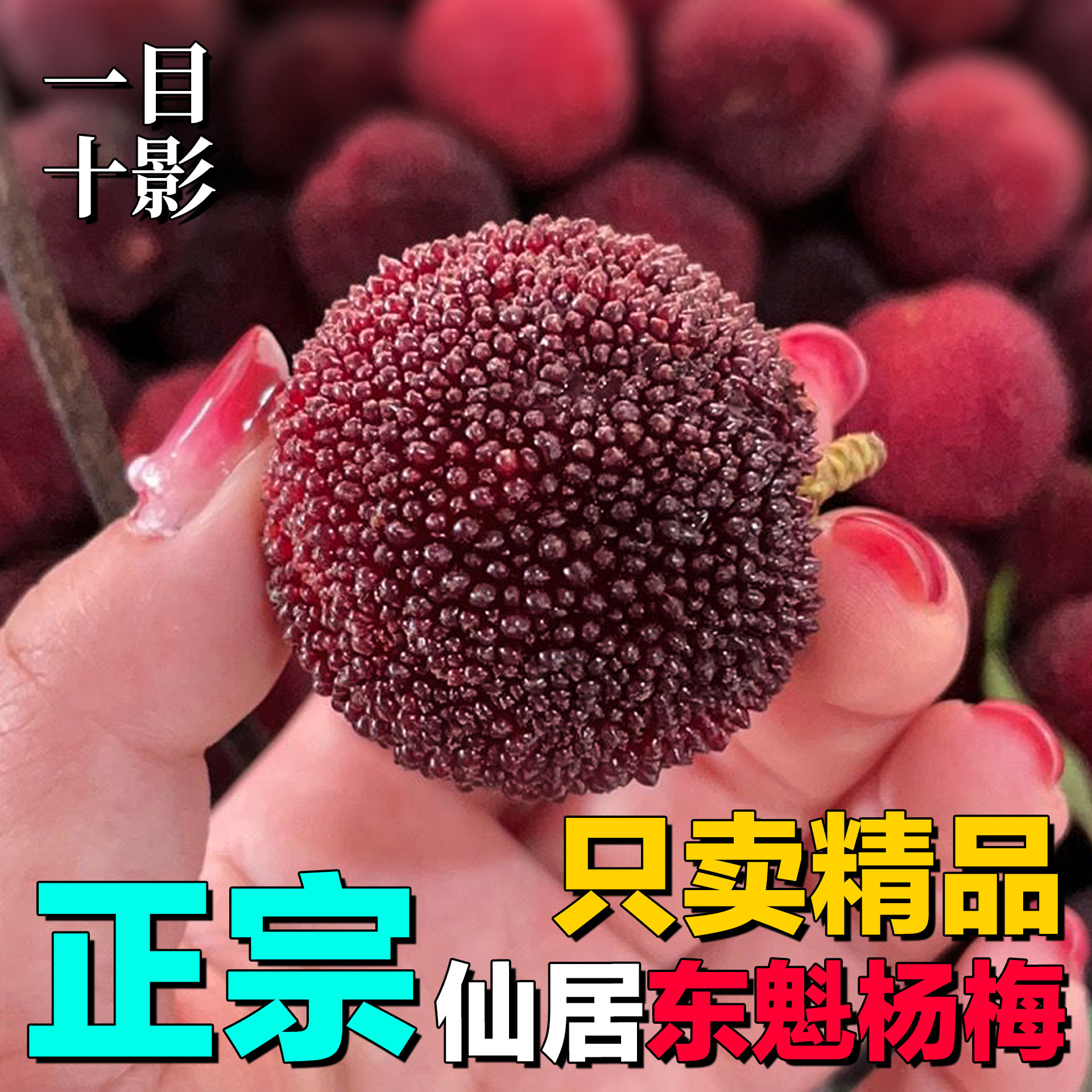 【贡品装】正宗仙居东魁杨梅大果当季水果礼盒装鲜果「一目十影」