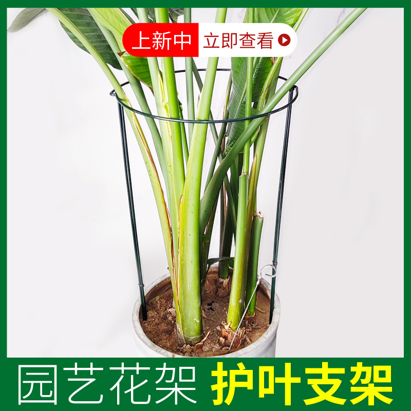 植物防倒伏支架半圆护叶