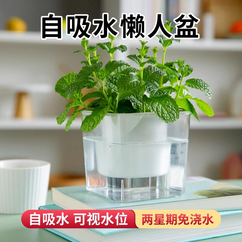 懒人自吸水花盆透明塑料水培器皿大号自动吸水花盆轻奢高级感家用