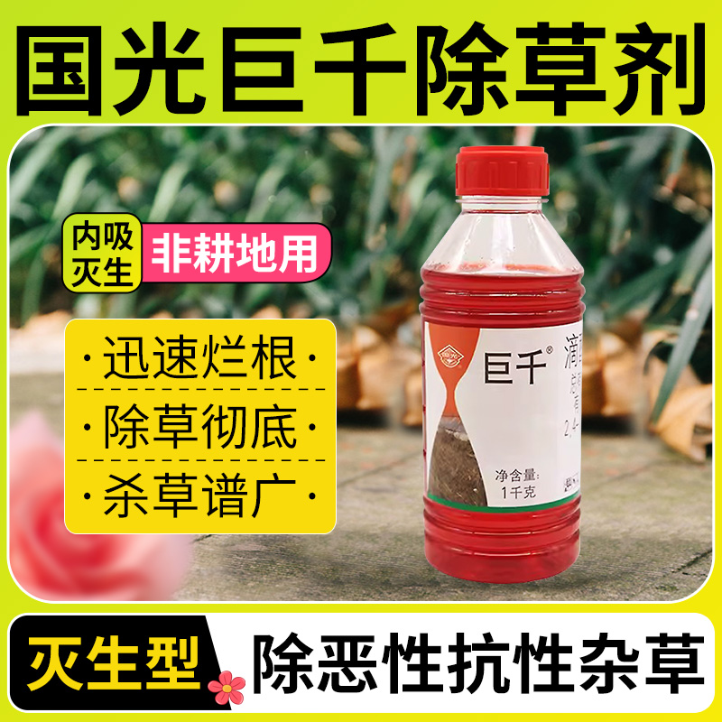 国光巨千非耕地烂根除草剂