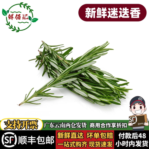 云南新鲜迷迭香西餐摆盘烧烤香料