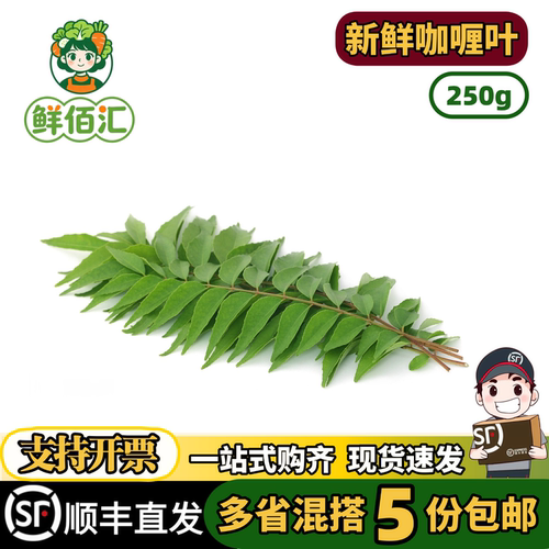 咖喱叶炒饭冬阴功调味品九里香