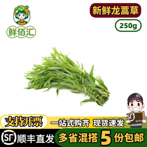 龙蒿草香艾菊他拉根香草西餐香料