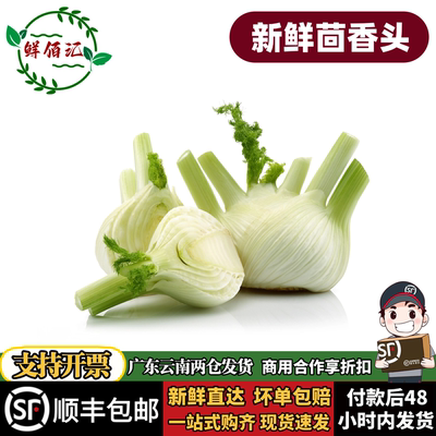 云南新鲜茴香头西餐香料包邮现发