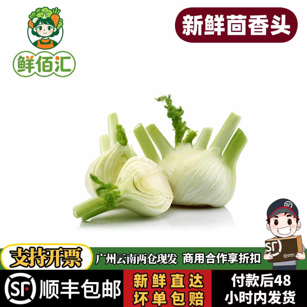 云南新鲜茴香头西餐特色蔬菜香料炒牛肉香料球茎茴香根现挖现发