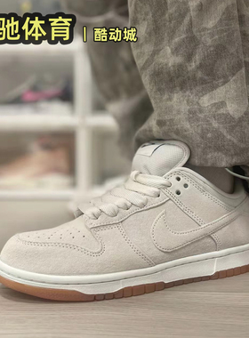 耐克Nike SB Dunk Low Pro男子舒适百搭运动休闲板鞋 HJ0367-100