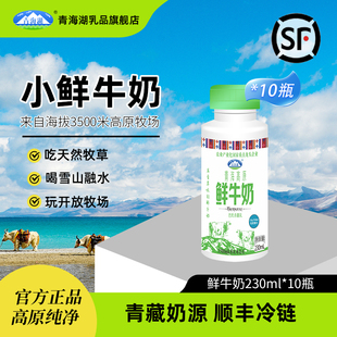 青海湖高原鲜牛奶230ml*10瓶低温营养生牛乳巴氏杀菌儿童早餐牛奶