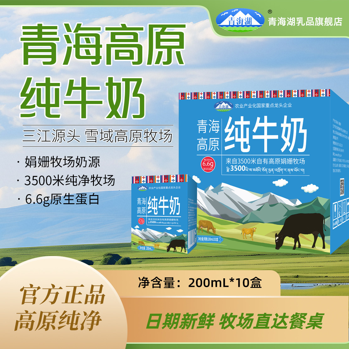 青海湖高原纯牛奶整箱200ml*10盒娟姗牧场高温灭菌乳常温全脂牛奶