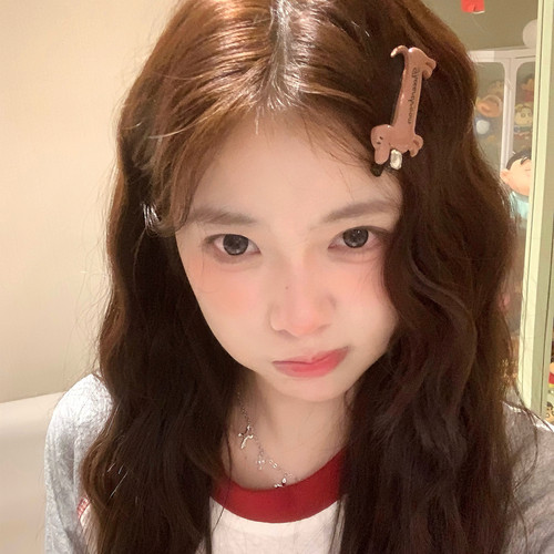 趣味腊肠狗发夹可爱立体小狗刘海夹边夹发卡少女心发饰2025新款