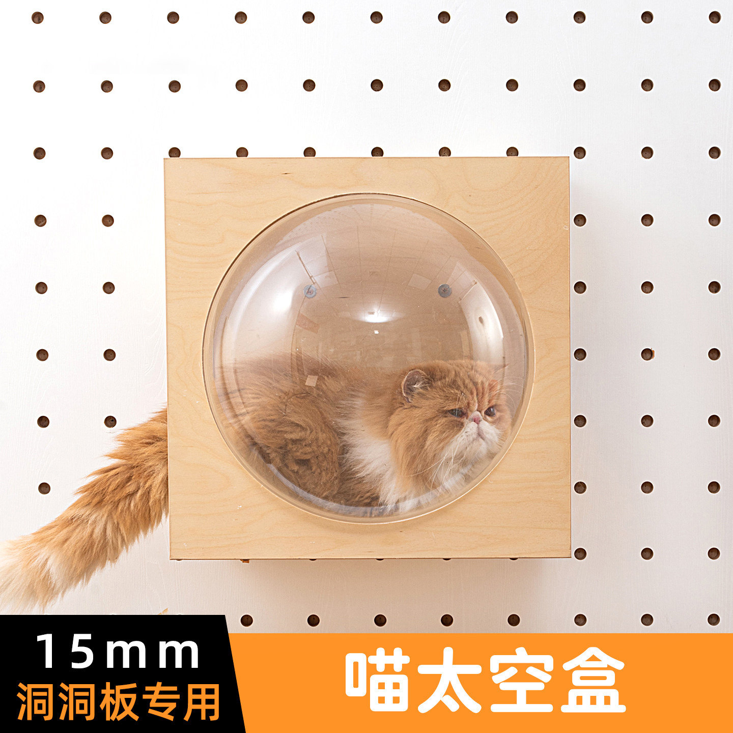 猫圆圈15mm实木洞洞板猫爬架图片