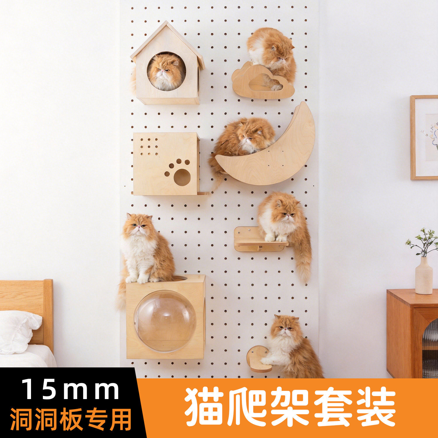 猫圆圈15mm实木洞洞板猫爬架图片