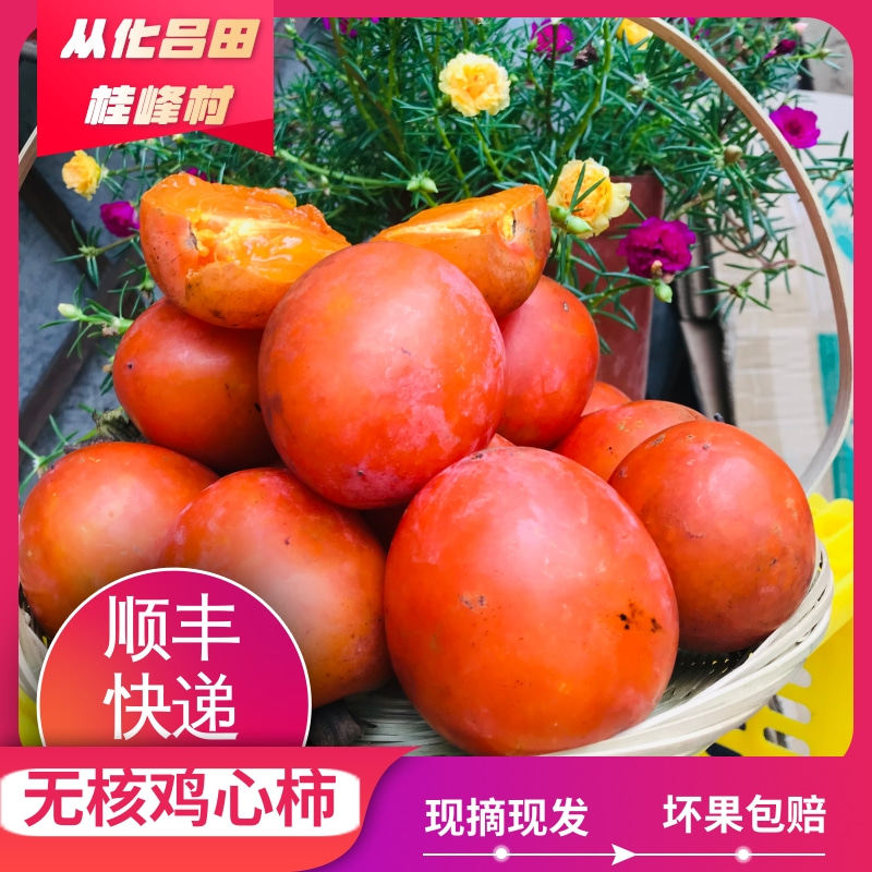从化吕田桂峰柿子无核鸡心柿新鲜现摘产地直发
