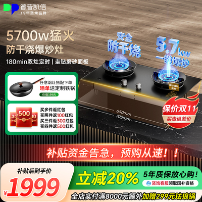 Depelec德普凯信D5max燃气磨砂白嵌入式定时煤气灶防干烧家用双灶