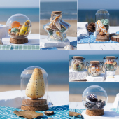 天然海螺贝壳漂流瓶海洋创意摆件海星许愿瓶木塞蜗牛壳标本螺