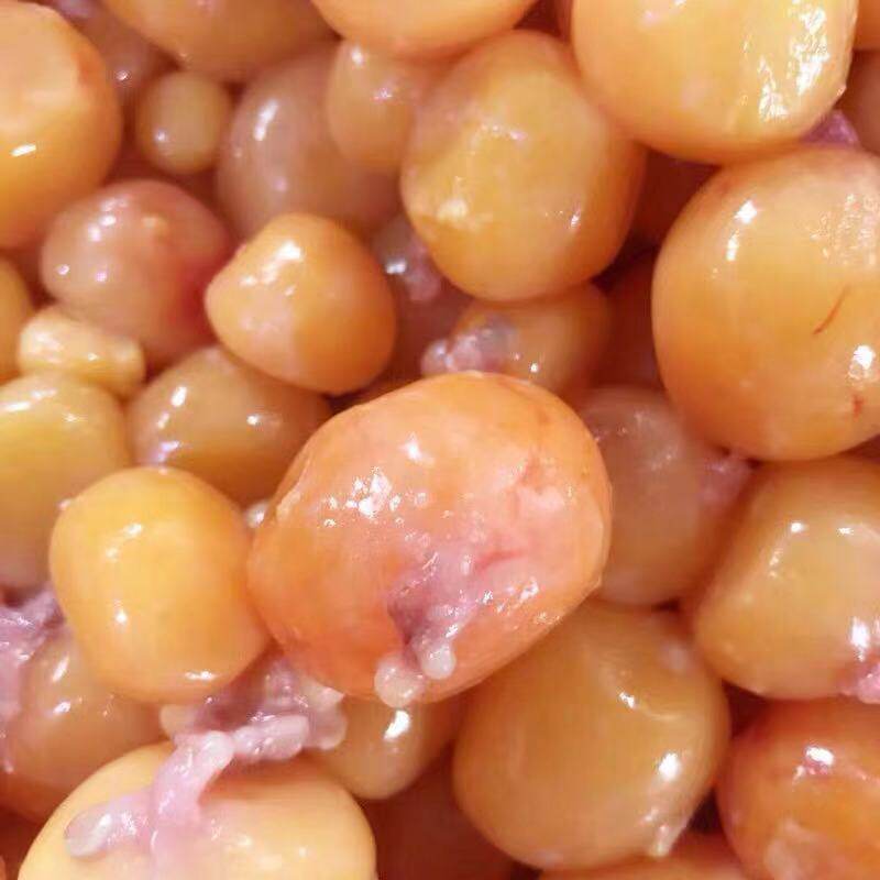 5斤生鸡蛋黄卵新鲜冷冻狗吃喂猫烘干蛋黄碎宠物食用自制粮粉零食