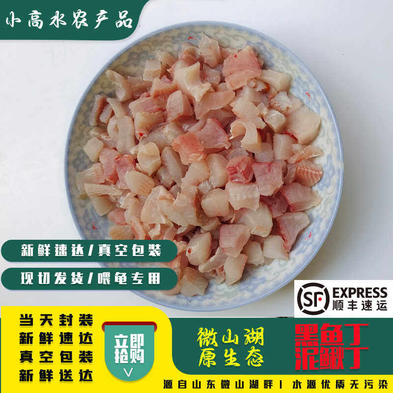 水族饲料黑鱼丁黑鱼柳鱼乌鱼丁泥鳅丁喂养乌龟饲料河虾新鲜螺肉