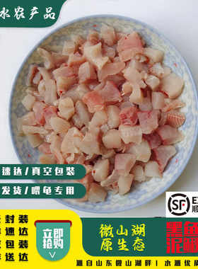 新鲜河虾黑鱼泥鳅喂养乌龟黑鱼