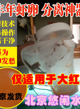 包邮丰年虾卵分离器大红卵分离网分离不在烦恼简单易操作台湾技术