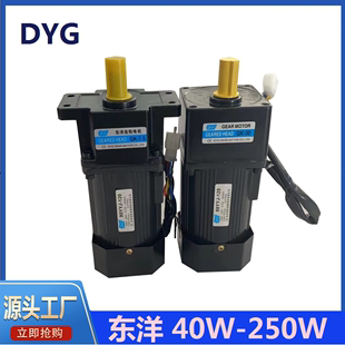 DYG东洋40W60W90W120W180W250W交流可调速变速硬齿轮减速电机马达