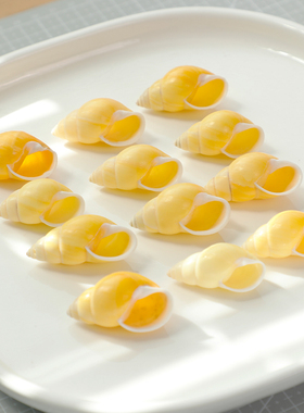 天然海螺贝壳黄色左旋螺鱼缸装饰水族造景收藏标本寄居蟹替换壳