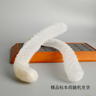 【皇偕老同穴】天然堂海螺稀有标本螺相框装饰女情侣结婚爱情礼物