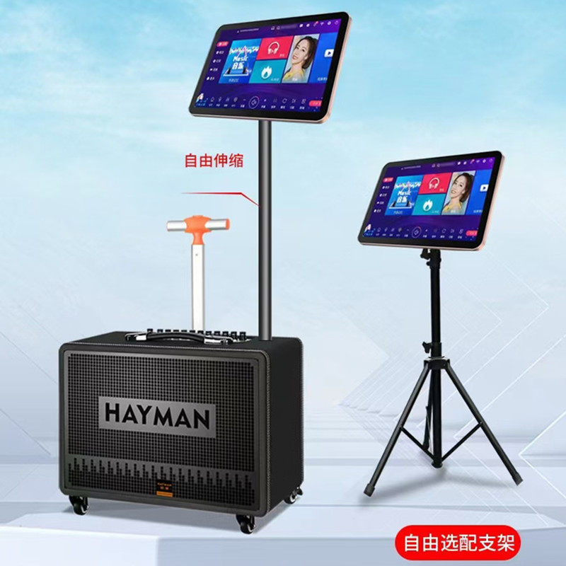 哈蔓广场舞大功率音响自带声卡直播乐器弹唱K歌音箱移动KTV一体机